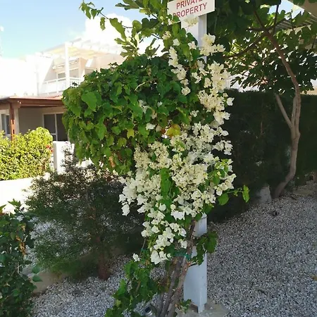 Ocean Pearl Pegeia