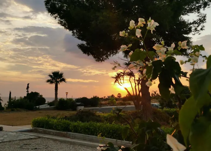 Ocean Pearl * ペイヤ