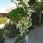 Ocean Pearl Peyia