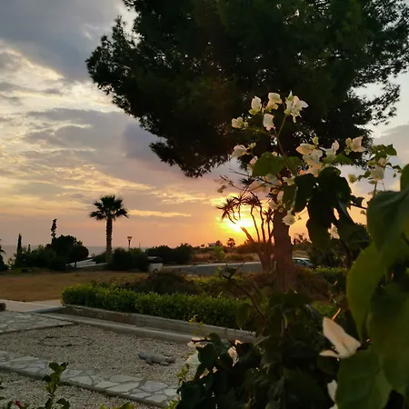 Ocean Pearl * פאהיה