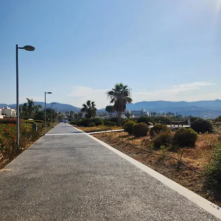 Ocean Pearl * פאהיה